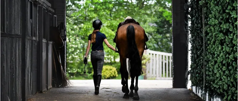 Quality Bridles