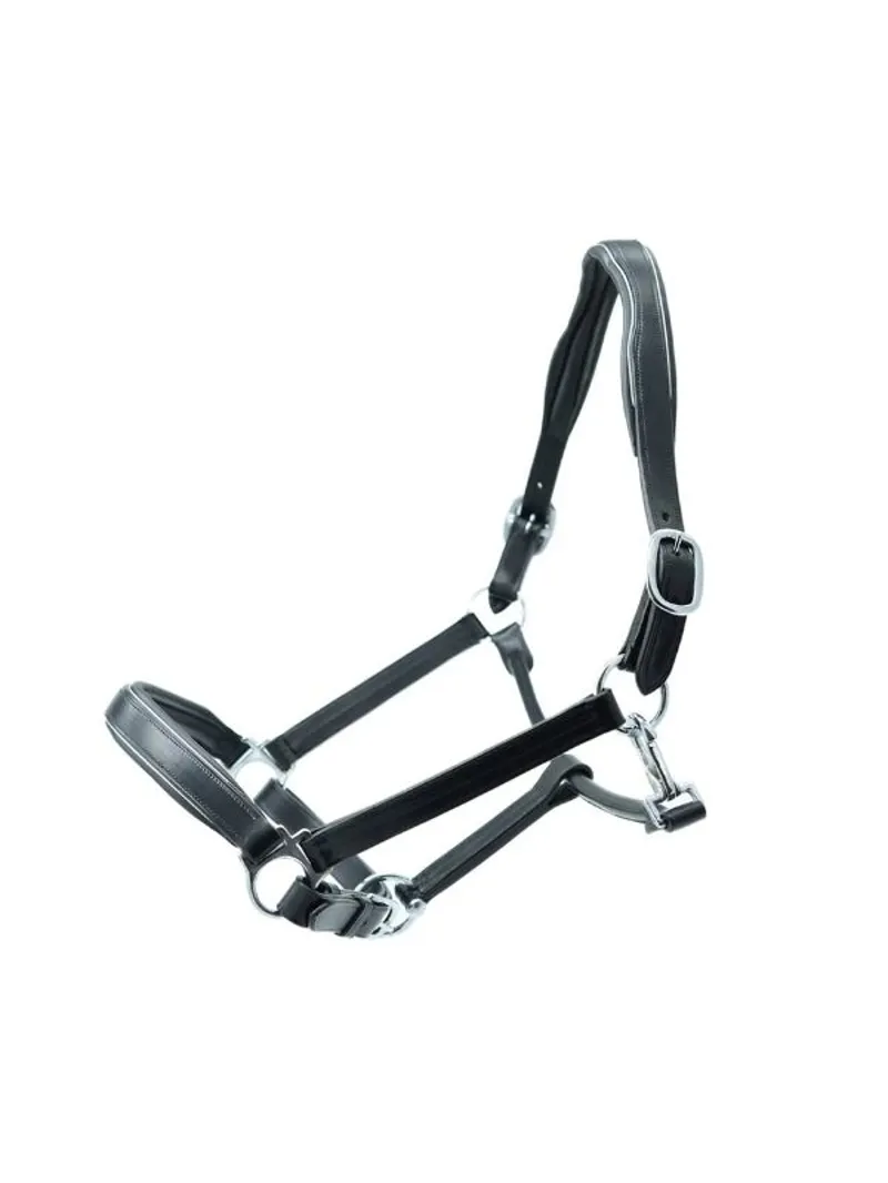 Dever Platinum Luxury Leather Padded Headcollar