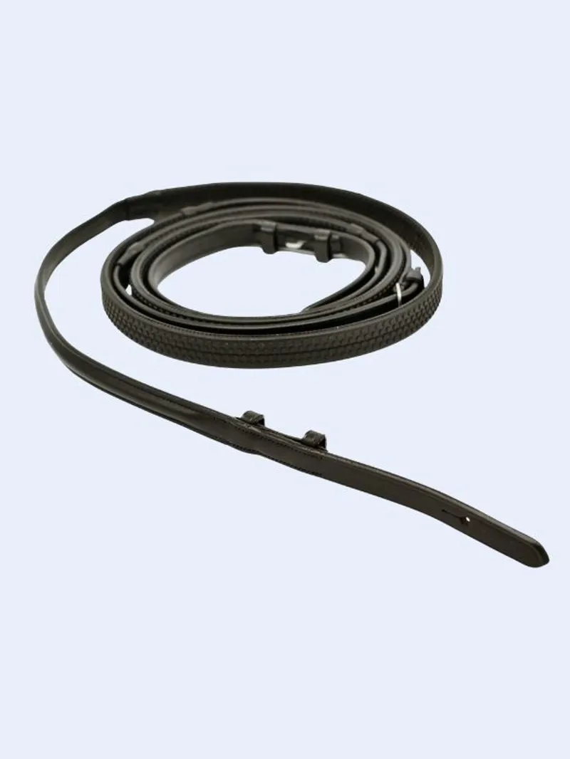 Reins