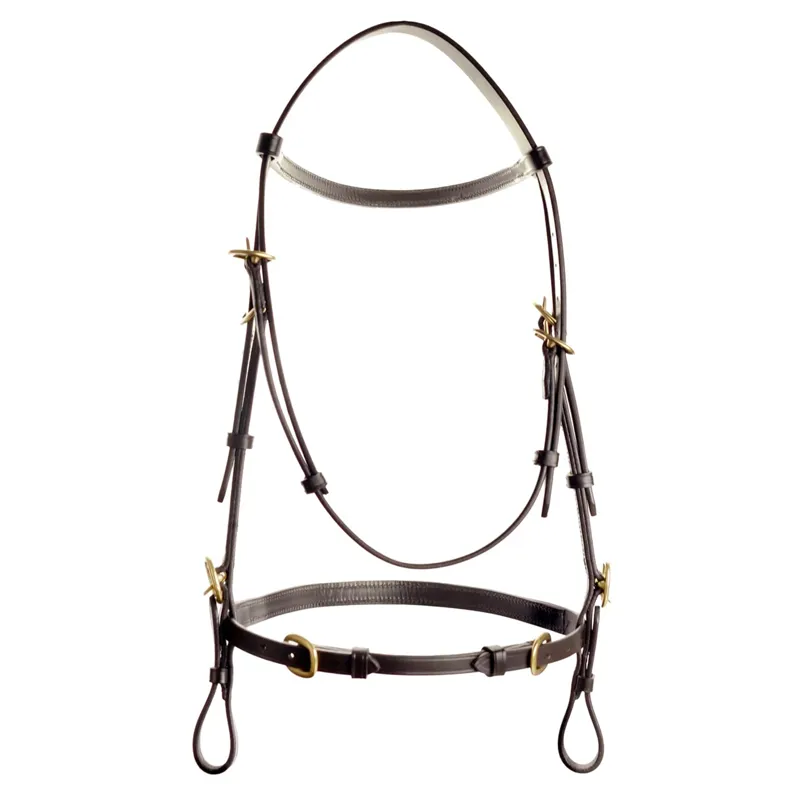 Dever Ascot In Hand Bridle - Brown-3