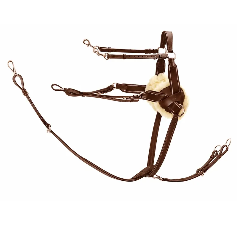Dever Ascot Five Point Elastic Breastplate - Brown-1