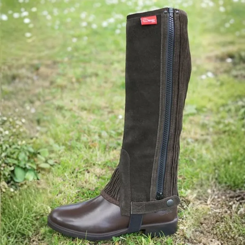Dever Suede Leather Adult Unisex Half Chaps - Brown